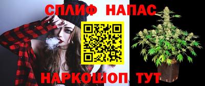 каннабис Шахты