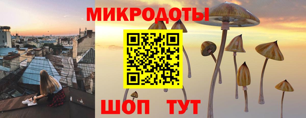 Псилоцибиновые грибы Cubensis  Вход с VPN  Новоуральск 